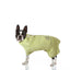 Organic Bamboo Dog Bathrobe (XS - XL) LIMITED EDITION