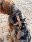 Soft brown dog harness